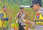Polres Ponorogo Sahabat Petani, Dampingi Warga Wujudkan Swasembada Pangan