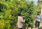 Bhabinkamtibmas Desa Pacinan Ajak warga Manfaatkan Pekarangan untuk Dukung Ketahanan Pangan