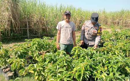 Bhabinkamtibmas Desa Pagotan dan Desa Geger Tinjau Tanaman Warga, Dukung Peningkatan Hasil Panen Masyarakat