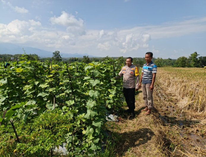 Bhabinkamtibmas Banjarsari Kulon Dorong Pekarangan Pangan Bergizi untuk Ketahanan Pangan