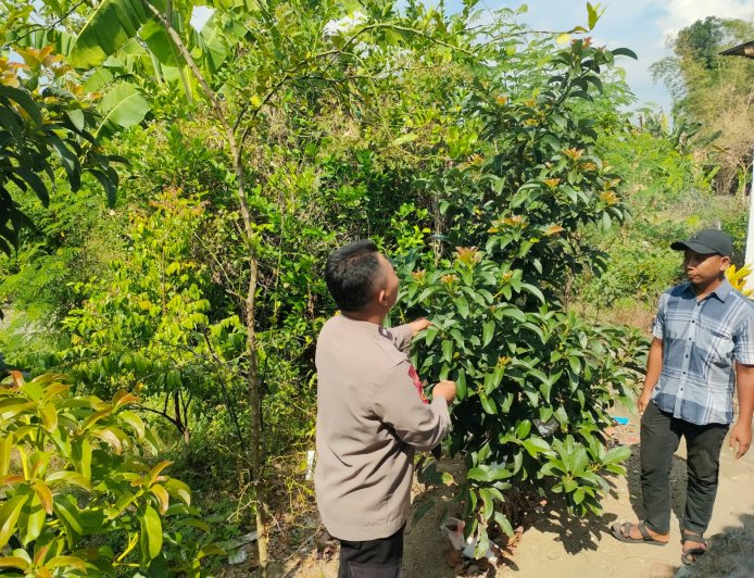 Bhabinkamtibmas Desa Pacinan Ajak warga Manfaatkan Pekarangan untuk Dukung Ketahanan Pangan