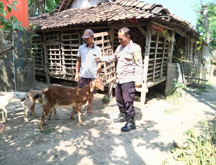 Bhabinkamtibmas Polres Madiun Dorong Ketahanan Pangan melalui Pembinaan Peternak Kambing di Desa Banaran