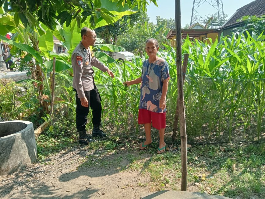 Dari Pekarangan untuk Ketahanan Pangan, Bhabinkamtibmas Pilangkenceng Beri Motivasi Warga