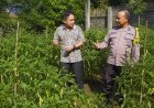 Cabai Mulai Berbuah Lebat, Bhabinkamtibmas Desa Durenan Apresiasi Ketekunan Warga Merawat Kebun