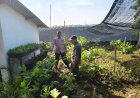 Bhabinkamtibmas Desa Kuwu Sambangi Petani, Dukung Program Ketahanan Pangan