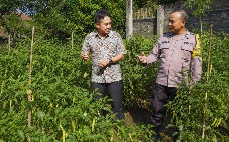 Cabai Mulai Berbuah Lebat, Bhabinkamtibmas Desa Durenan Apresiasi Ketekunan Warga Merawat Kebun