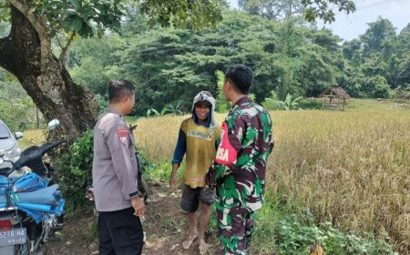 Hamparan Padi Mulai Menguning, Bhabinkamtibmas Tawangrejo Pantau Kondisi Sawah Warga