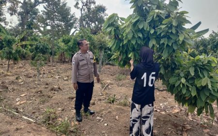 Tanaman Tumbuh Rimbun di Kebun Warga Batok, Bhabinkamtibmas Dorong Lahan Tetap Produktif