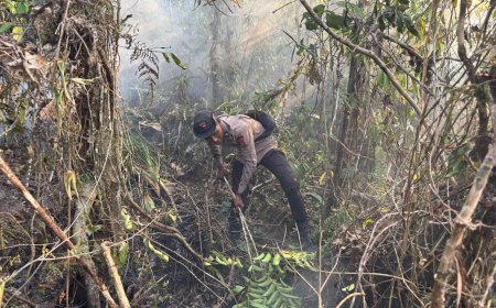 Penanganan Karhutla Hari Keenam, Brimob Kembali Turun Di Biak