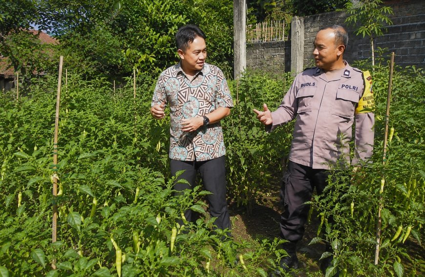 Cabai Mulai Berbuah Lebat, Bhabinkamtibmas Desa Durenan Apresiasi Ketekunan Warga Merawat Kebun