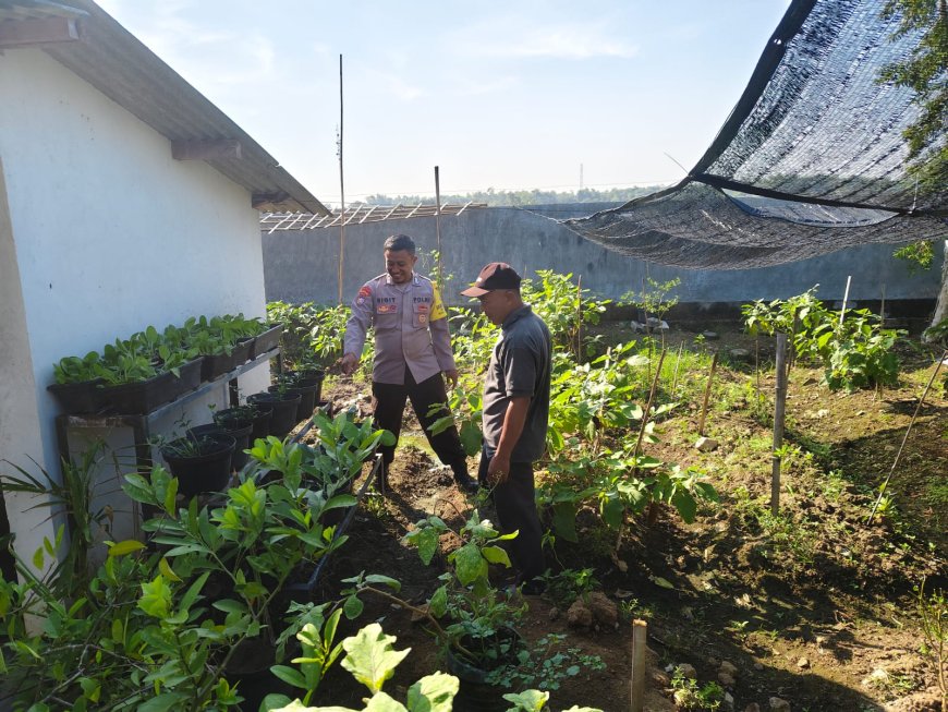 Bhabinkamtibmas Desa Kuwu Sambangi Petani, Dukung Program Ketahanan Pangan