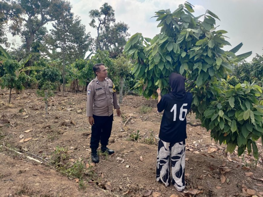 Tanaman Tumbuh Rimbun di Kebun Warga Batok, Bhabinkamtibmas Dorong Lahan Tetap Produktif