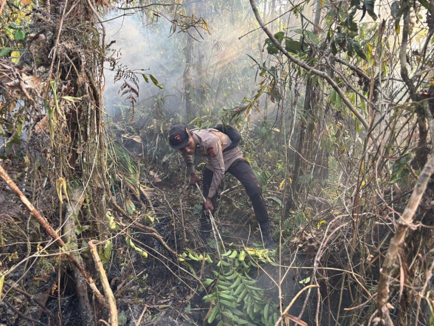 Penanganan Karhutla Hari Keenam, Brimob Kembali Turun Di Biak