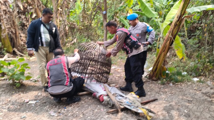 Respon Laporan Warga, Polresta Sidoarjo Bongkar Arena Sabung Ayam di Dua Lokasi