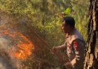 Polres Magetan Bersama Tim Gabungan Tangani Karhutla di Panekan Lereng Gunung Lawu