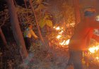 Sinergi Polsek Bungkal Bersama Tim Gabungan Berhasil Jinakkan Karhutla di Ponorogo
