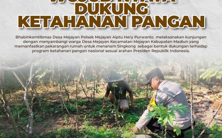Wujud Nyata Dukung Ketahanan Pangan, Bhabinkamtibmas Polsek Mejayan Sambangi Warga Tanam Singkong di Pekarangan