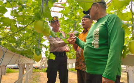 Perkuat Ketahanan Pangan, Kasat Binmas Polres Madiun Cek Green House BUMDes Desa Slambur
