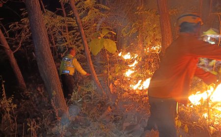 Sinergi Polsek Bungkal Bersama Tim Gabungan Berhasil Jinakkan Karhutla di Ponorogo