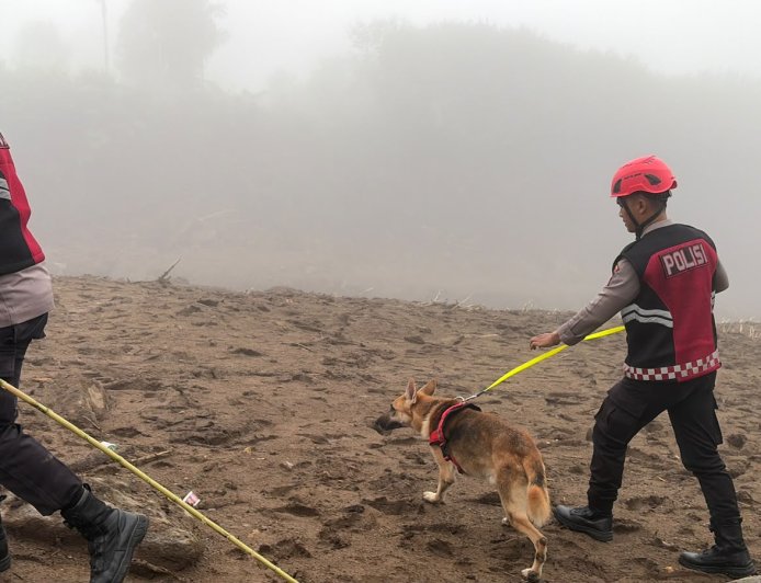 Unit Polsatwa Ditsamapta Polda Sumbar Turunkan K9 Spesifikasi SAR Telusuri Jalur Air Bah