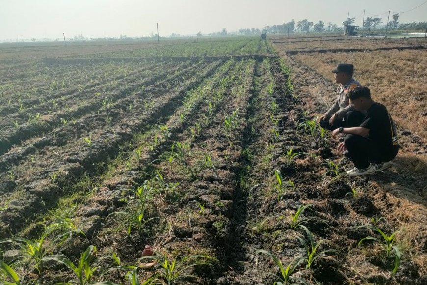 Bhabinkamtibmas Dorong Warga Manfaatkan Lahan Kosong untuk Ketahanan Pangan