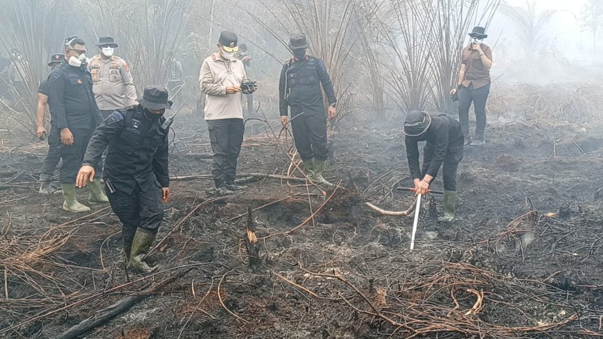 Karhutla Hanguskan 5 Hektare Lahan di Mamasa, Polisi dan Damkar Berjibaku Padamkan Api