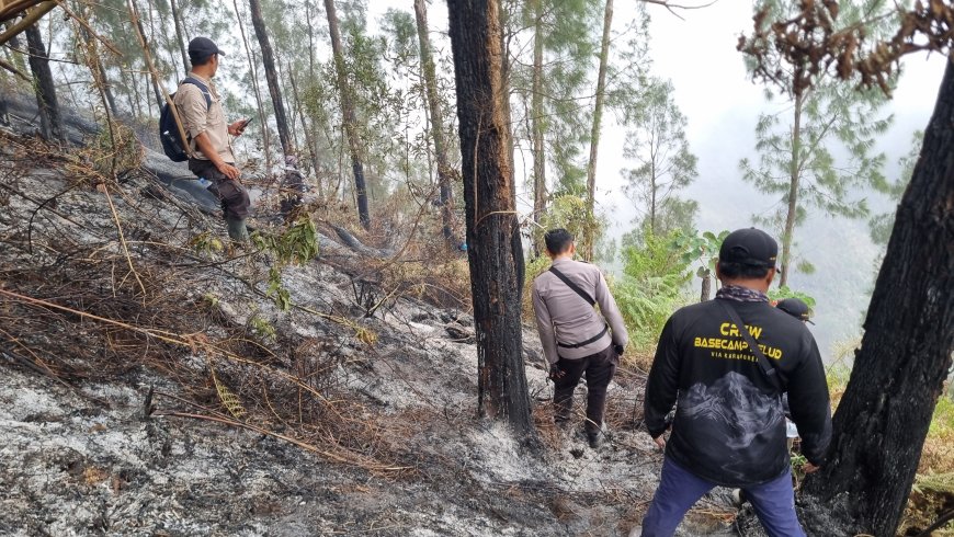 Tembus Ketinggian 1.800 MDPL, Tim Gabungan Polres Blitar Jinakkan Api di Gunung Buthak