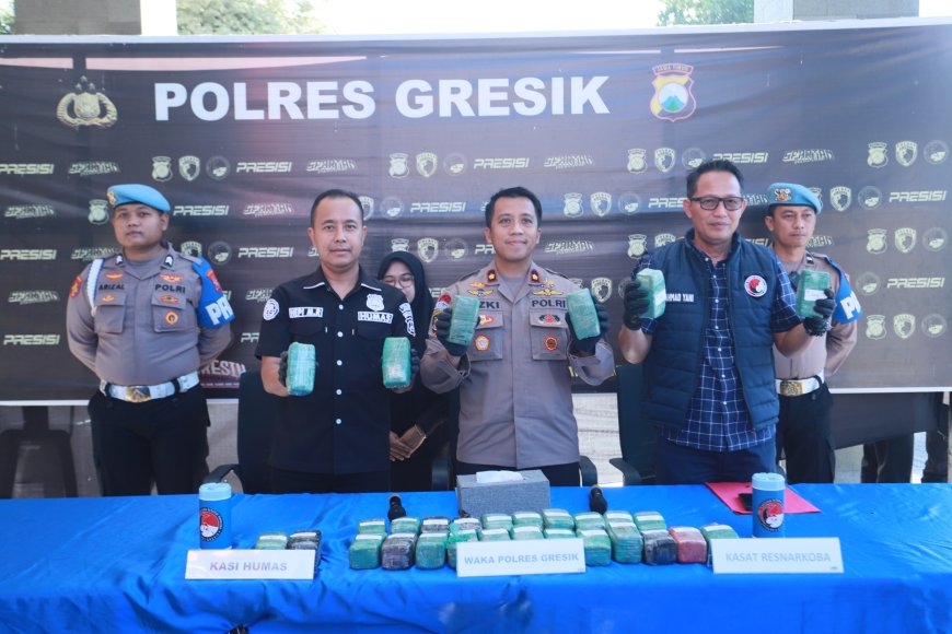 Polres Gresik  Sita 10,8 Kg Ganja di Gudang Ekspedisi