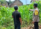 Mengajak Masyarakat Bersama-Sama Mendukung Ketahanan Pangan Nasional