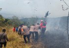 Polda Jatim dan Tim Gabungan Tangani Karhutla Gunung Arjuno Sisir 4 Wilayah