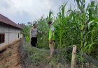 Pendampingan Pemanfaatan Lahan Kurang Produktif