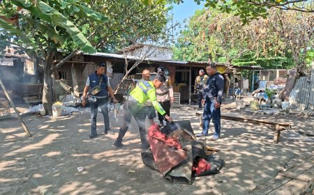 Polsek Waru Bongkar Arena Sabung Ayam di Bungurasih Utara