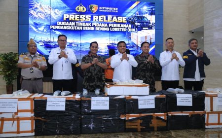 Polri Ungkap Jaringan Penyelundupan Baby Lobster Lintas Negara, Dua Pelaku Ditangkap