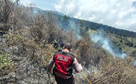 Polres Lumajang dan Tim Gabungan Berjibaku Taklukkan Karhutla di TNBTS