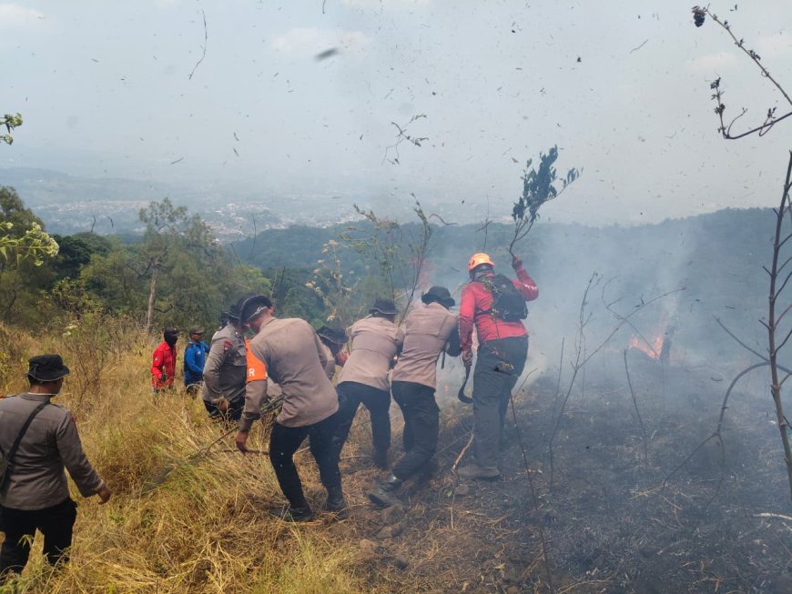 Polda Jatim dan Tim Gabungan Tangani Karhutla Gunung Arjuno Sisir 4 Wilayah
