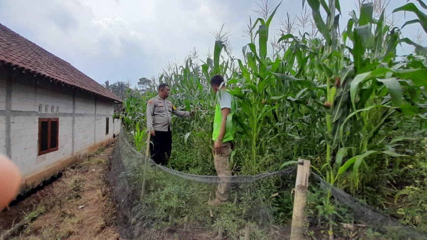 Pendampingan Pemanfaatan Lahan Kurang Produktif